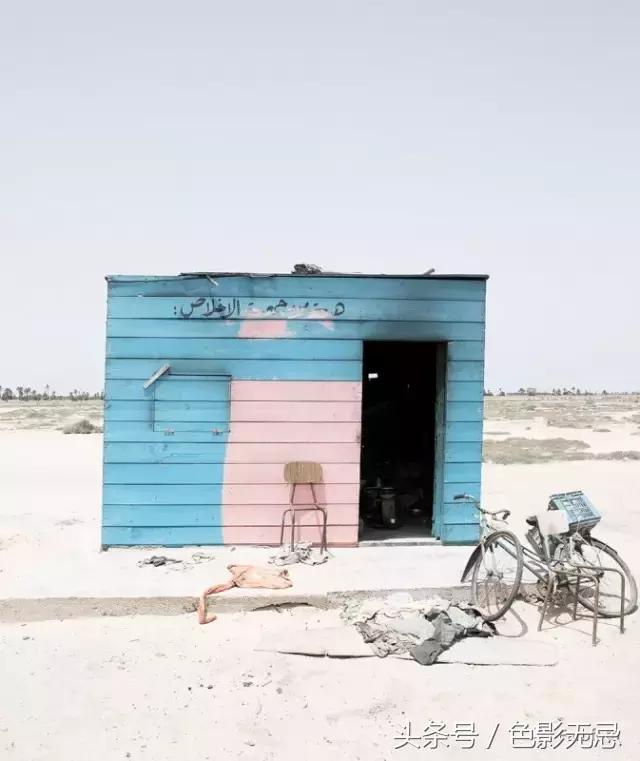 众望所归夺冠视频,众望所归的冠军视频