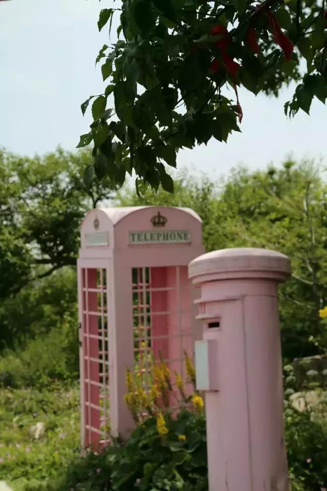 山西历山舜王坪大草原攻略,看云海高山草甸的地方