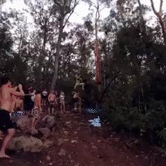 这到底是什么东西啊，好有趣