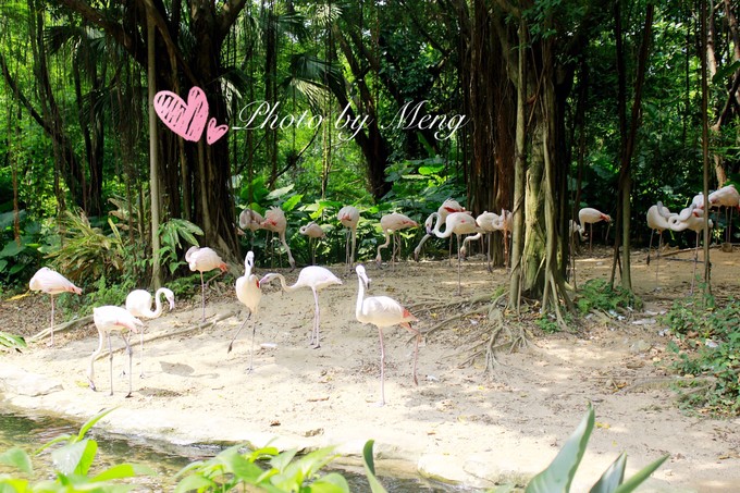 广州长隆水上乐园亲子游攻略视频,珠海长隆海洋快速通道亲子游攻略