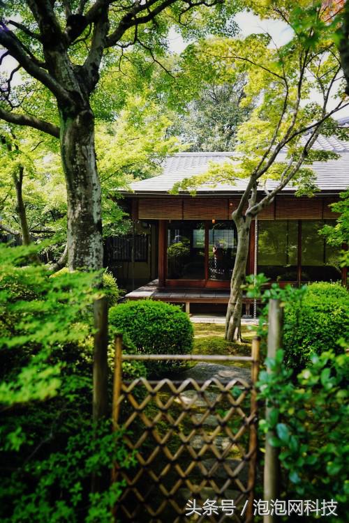 索尼最新微单a7r3与a9对比,索尼a9和a7r4拍视频比较