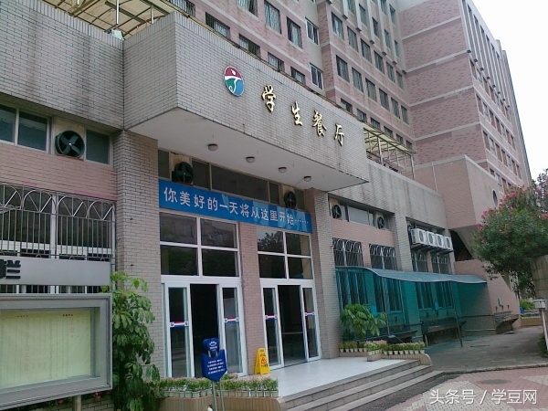 学豆观察︱在深圳高级中学读书是怎样的体验？