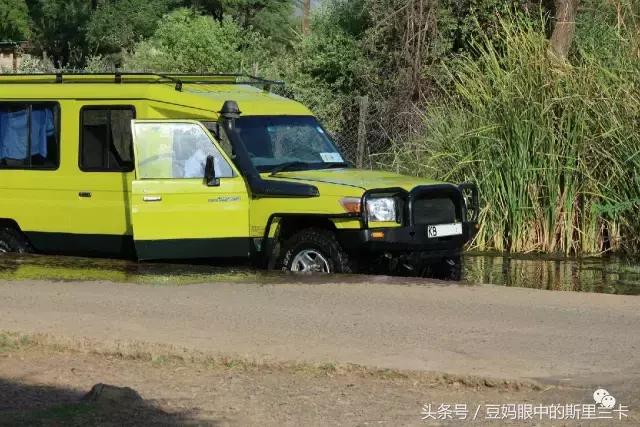 风动？树动？心动！致你，Kenya