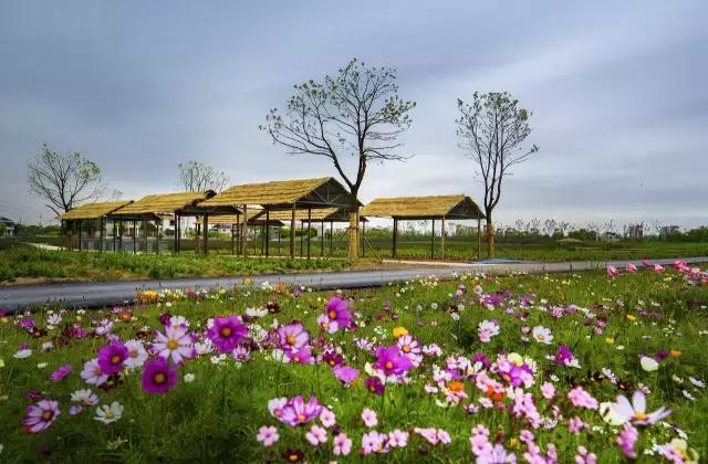 张家港城市发展得怎么样,为什么羡慕江浙沪