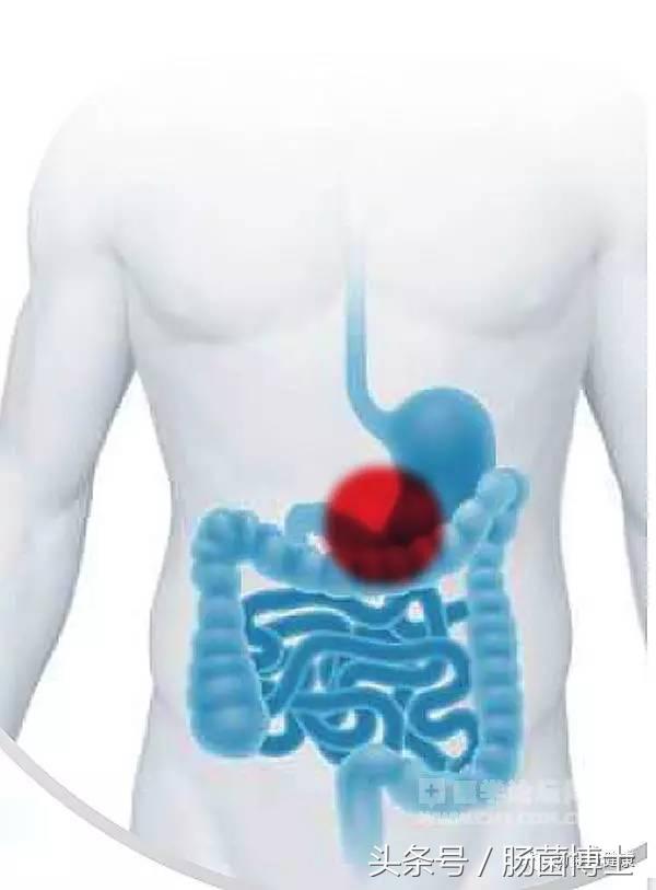 不会选益生菌?知道这十条金标准就够了!