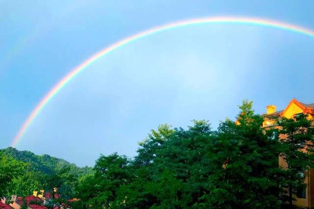 你还在看养生秘诀？天岛湖说不如直接定居“长寿之乡”