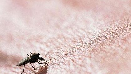 身上长小红点不痛不痒变成黑点,身上长红点像红色小痣怎么回事