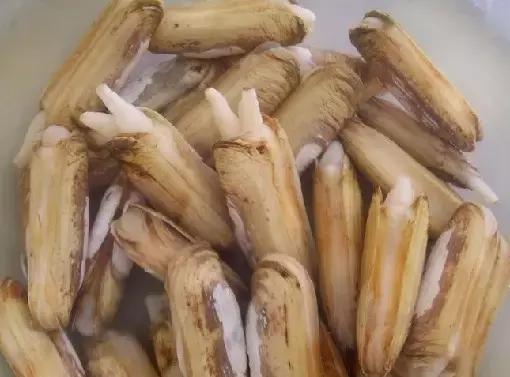 又到吃海鲜的季节咯！一位吕四渔民整理的海鲜大全，保证有你不认识的！