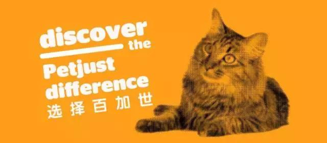 2023年pfa颁奖典礼,pfa年度最佳球员候选名单出炉