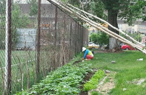 足球场除了踢球还能举行什么活动,足球场的好处和用途