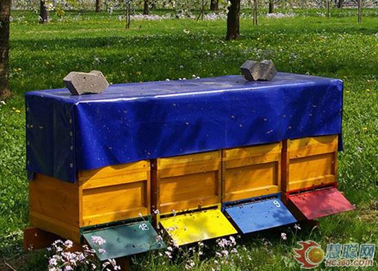 德国品赫漆冰白系列,德国品赫涂料大全