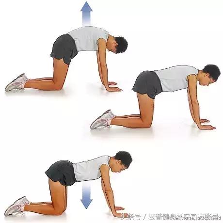 教你告别疼痛胸椎活动度受限