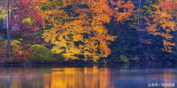 腹胀消化不良放屁多便秘怎么调理,肠道湿热放屁多便秘