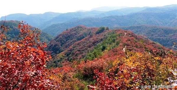 朱永新和央视主持人王端端8月10日将走进韩城