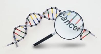 艾德生物最新深度分析视频,艾德生物最新深度分析