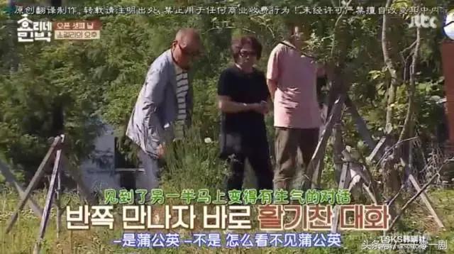 国民妖精的成长经历,国民妖精