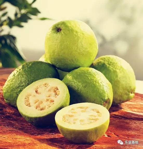 即将收获的石榴既美观又美味,又大又红的石榴真好吃