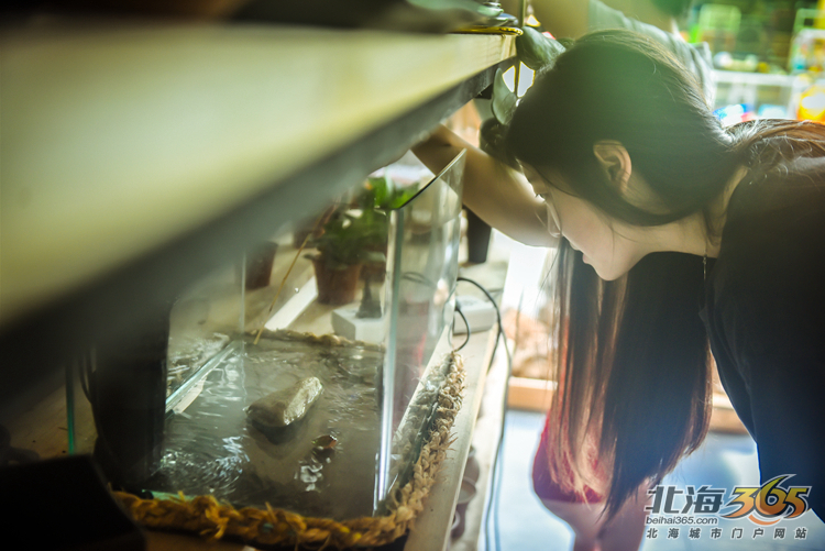 北海女性｜稀奇古怪的店，稀奇古怪的90后老板