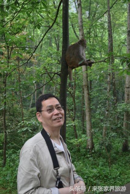 上海到张家界五日游攻略,找一下去张家界天门山的线路