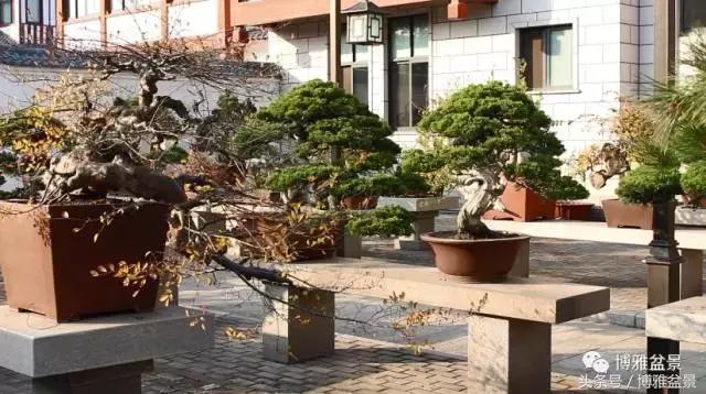 清逸园，一座闹中取静的“文人园林”