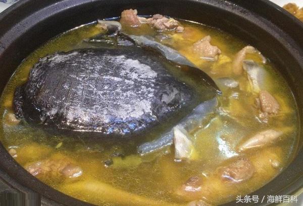 甲鱼有什么营养怎么杀,甲鱼怎么杀好吃又简单方法