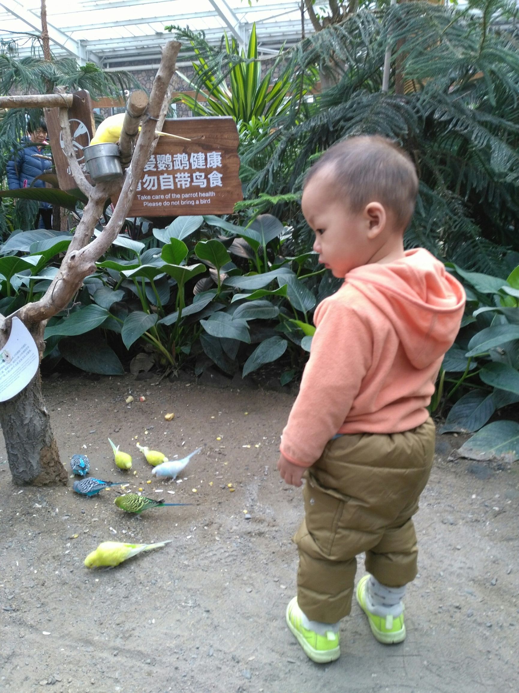 有图有真相搞笑,有图有真相分享