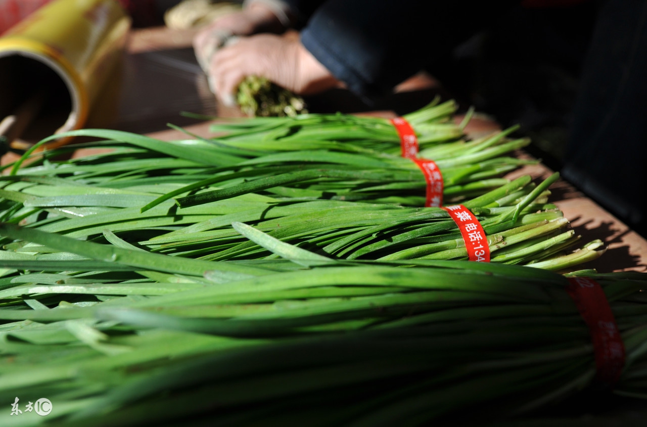 在农村，对韭菜具有一定的讲究，不能吃头茬，你知道为什么吗？