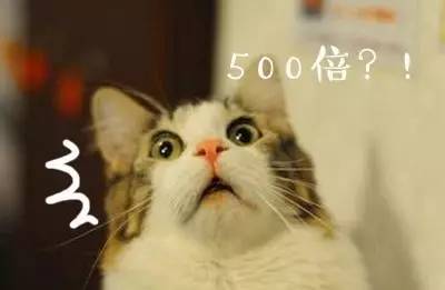 贵宾推荐什么狗粮,比较好的贵宾狗粮