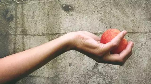 芒格人类错误认知倾向,芒格谈人性的视频