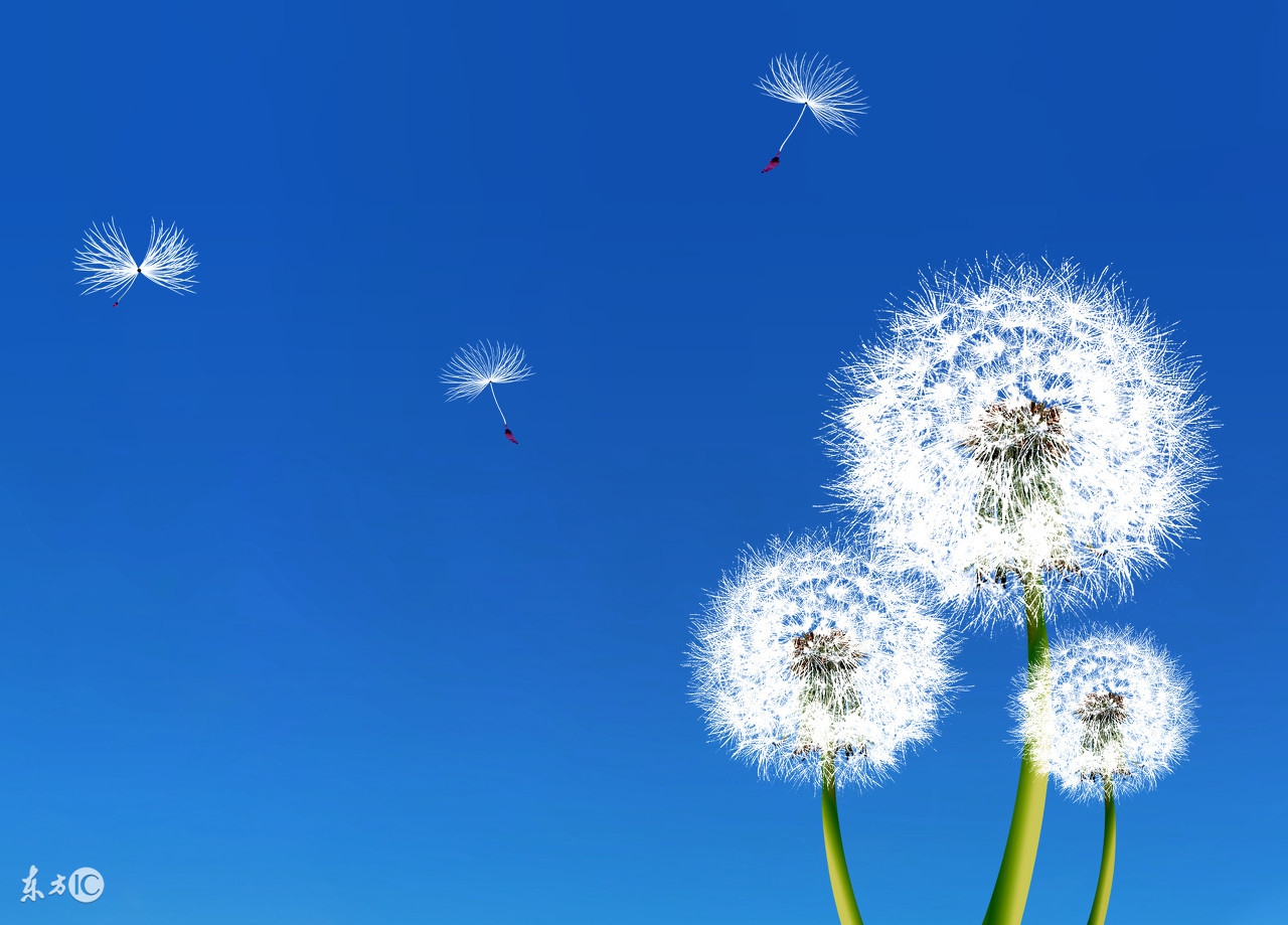 欢乐学校语文,欢乐学校全部视频