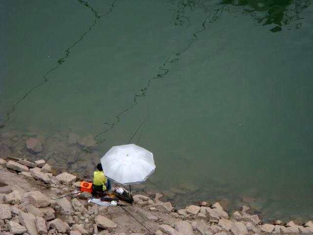 此鱼酷似老鼠，味道毫不逊于“长江三鲜”只是很难钓获