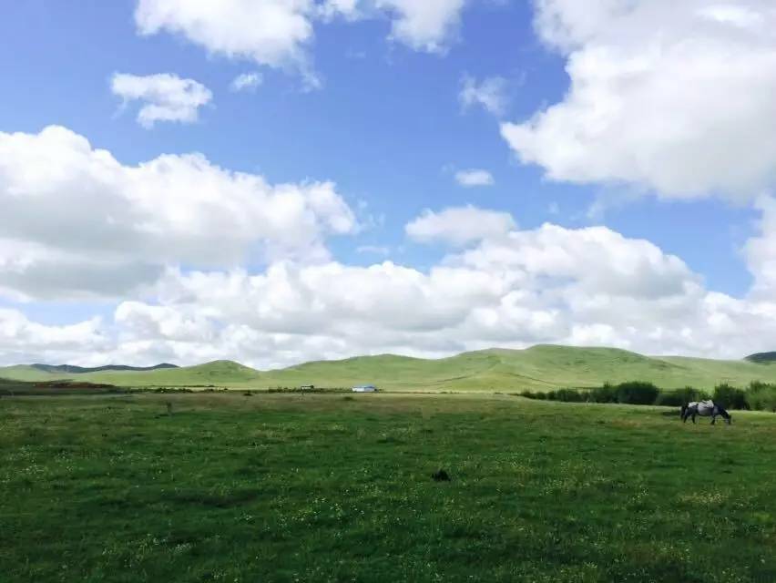 若尔盖湿地三月的景色,8月若尔盖草原哪里比较好