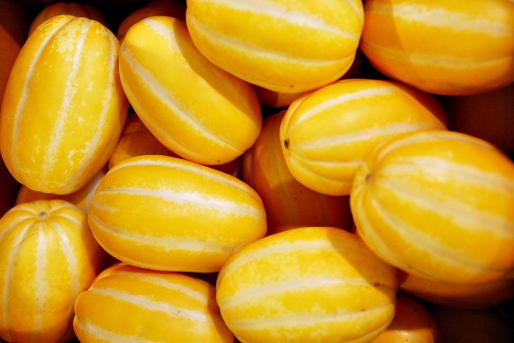 吃香瓜的功效和作用,野生小香瓜的功效与作用