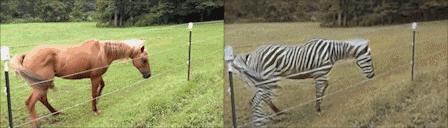 gan生成模型训练,教你怎么做模型