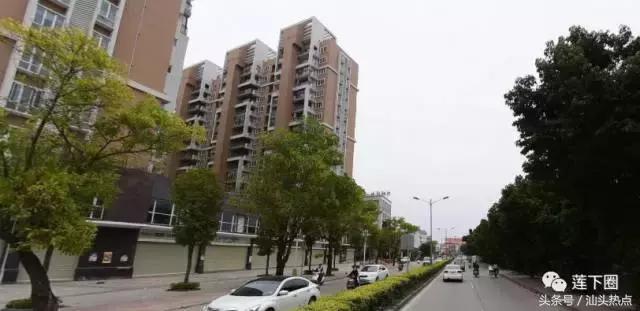 在莲下生活了这么多年，你可知哪个村人口最多？哪个村人口最少？