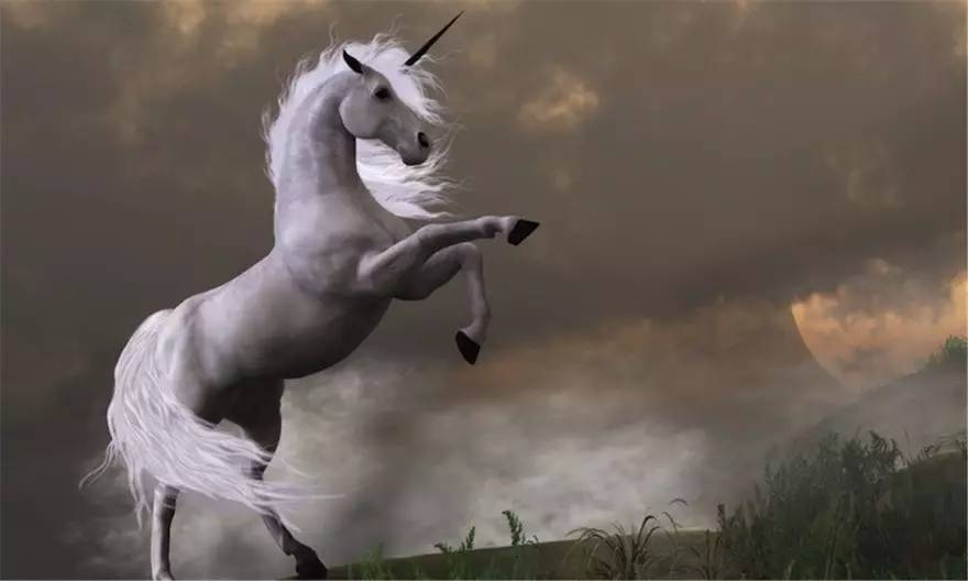 黑天鹅与灰犀牛的含义,黑天鹅和灰犀牛经济学