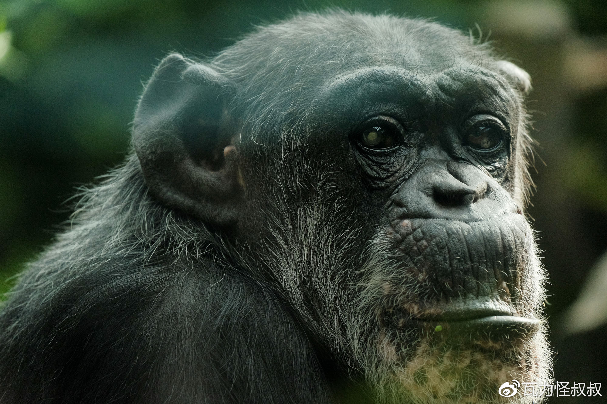 富士龙x镜头怎么选,富士龙x卡口镜头价格