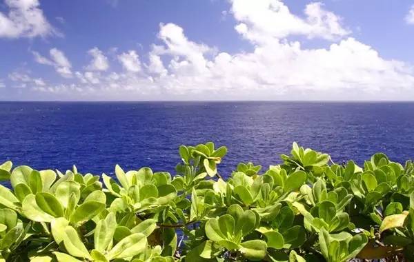 美国免签哪里旅游最好,美国免签的景点