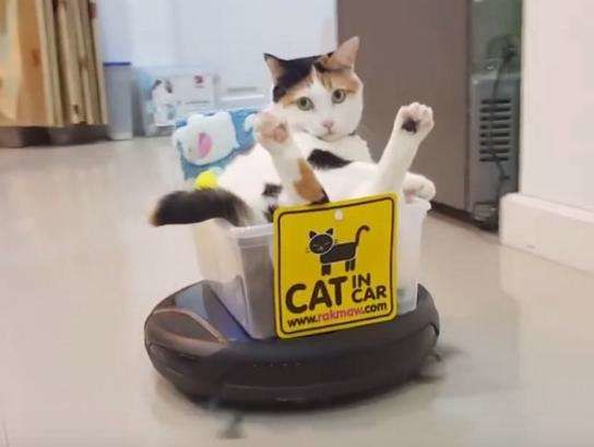 遇见物联时代（一）《我的前半生》《欢乐颂》里有这么多智能家居