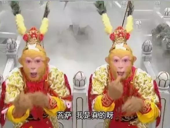 观音和谛听早已分辨出真假孙悟空，却为何假装不知？