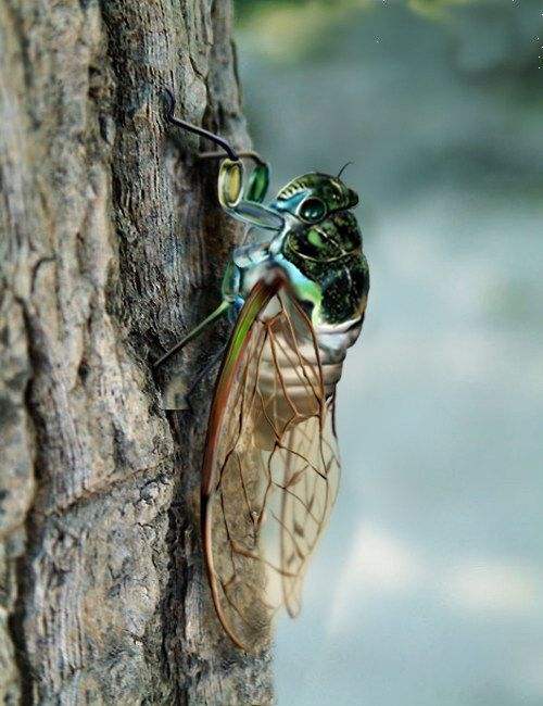 十个科普小知识,100个必学的科普知识