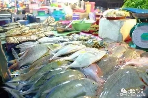 烟台哪里的海鲜便宜又新鲜,山东烟台一年四季的时令海鲜表