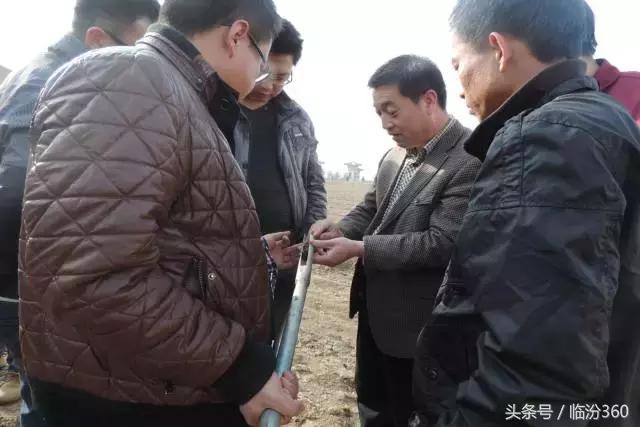 戎子酒庄酒业集团,戎子酒庄倾力打造