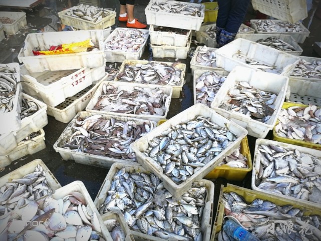 北海侨港小镇简介,北海侨港旅游区