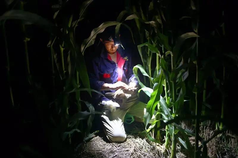 2020年河南省直机关公务员遴选,河南省直机关公开遴选201名公务员