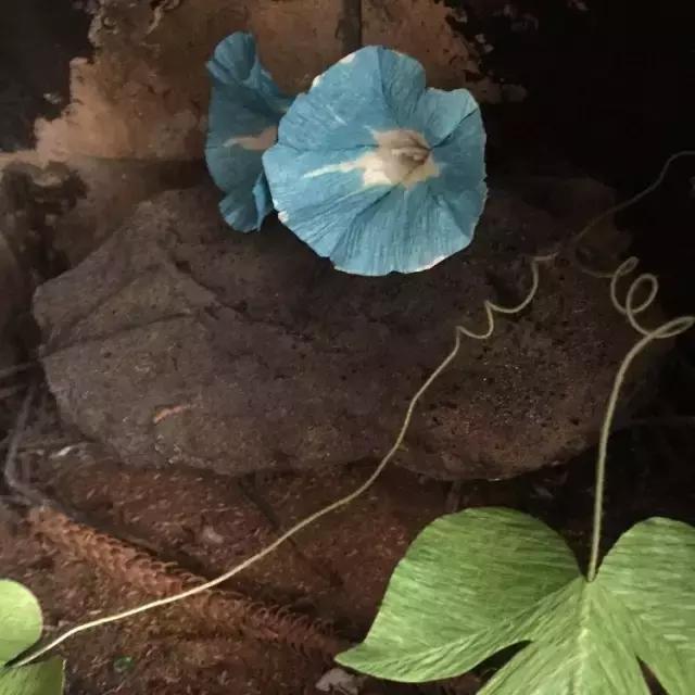 会枯萎腐烂的仿真花,会枯萎的花有什么