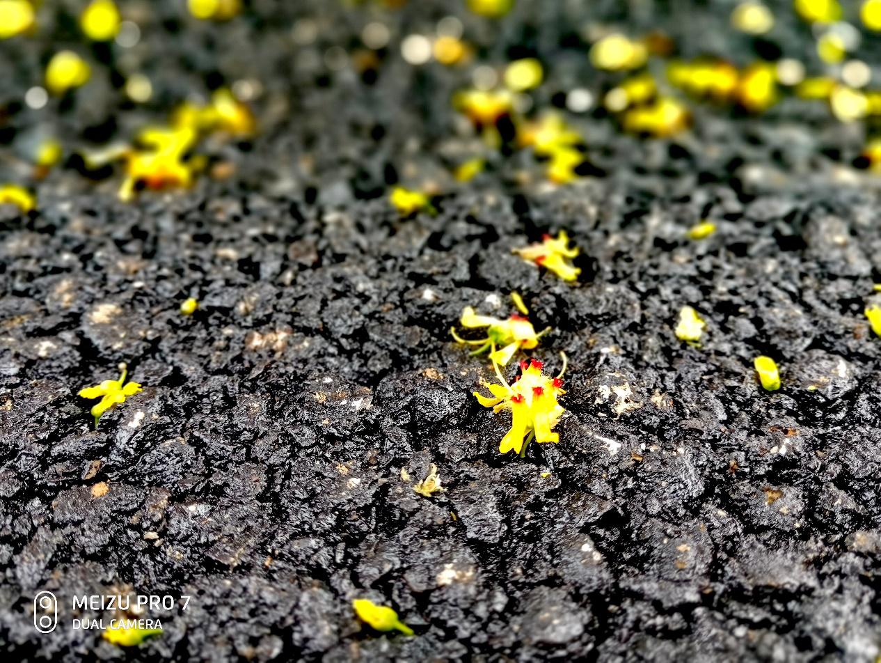 魅族pro7现在值得购买吗,魅族pro7现在值得入手