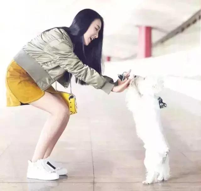 明星尬拍名场面,明星机场撞柱子尬舞