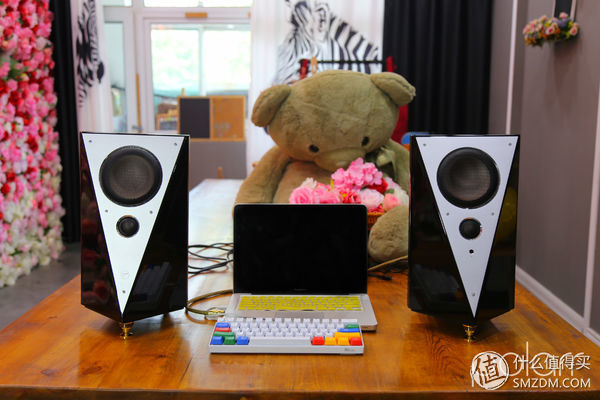 惠威hivim200mkii怎么插话筒,惠威hivim200mkii有源音箱电流音