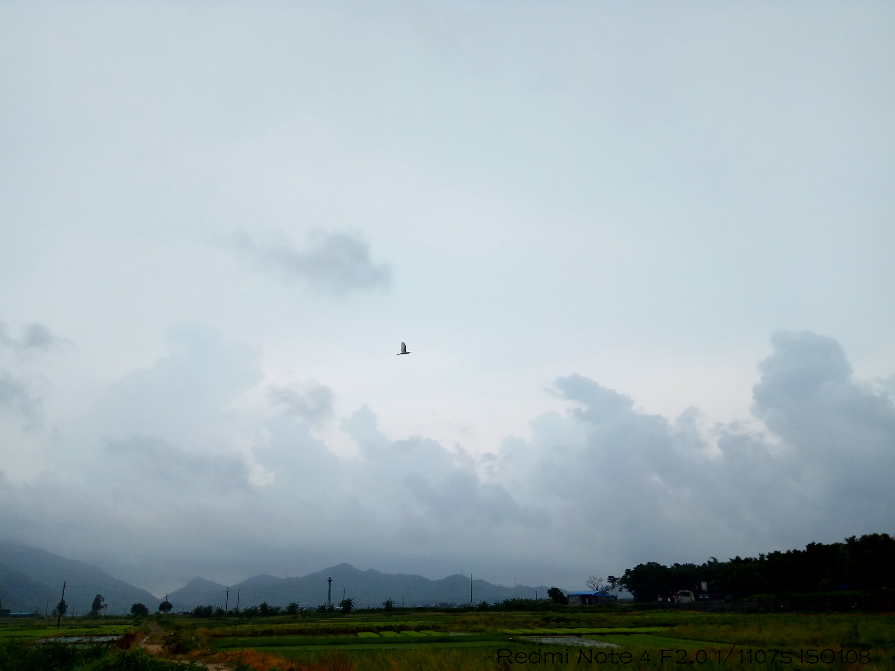 红米note4x高通625还是联发科x20,红米note4x联发科heliox20处理器